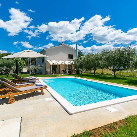 Pool Premium Apartment Vrsar Dış mekan fotoğraf
