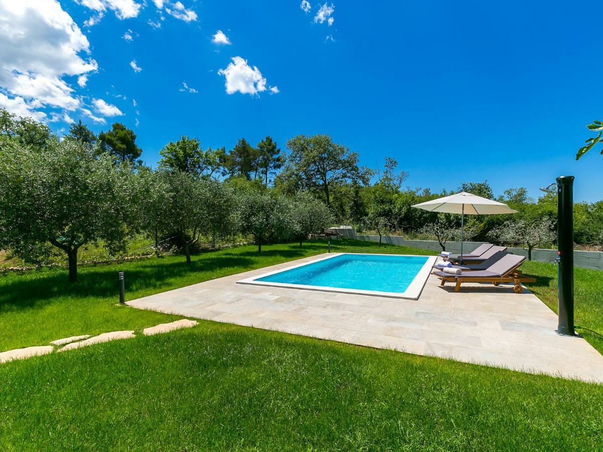 Pool Premium Apartment Vrsar Dış mekan fotoğraf