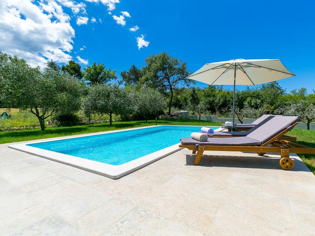 Pool Premium Apartment Vrsar Dış mekan fotoğraf