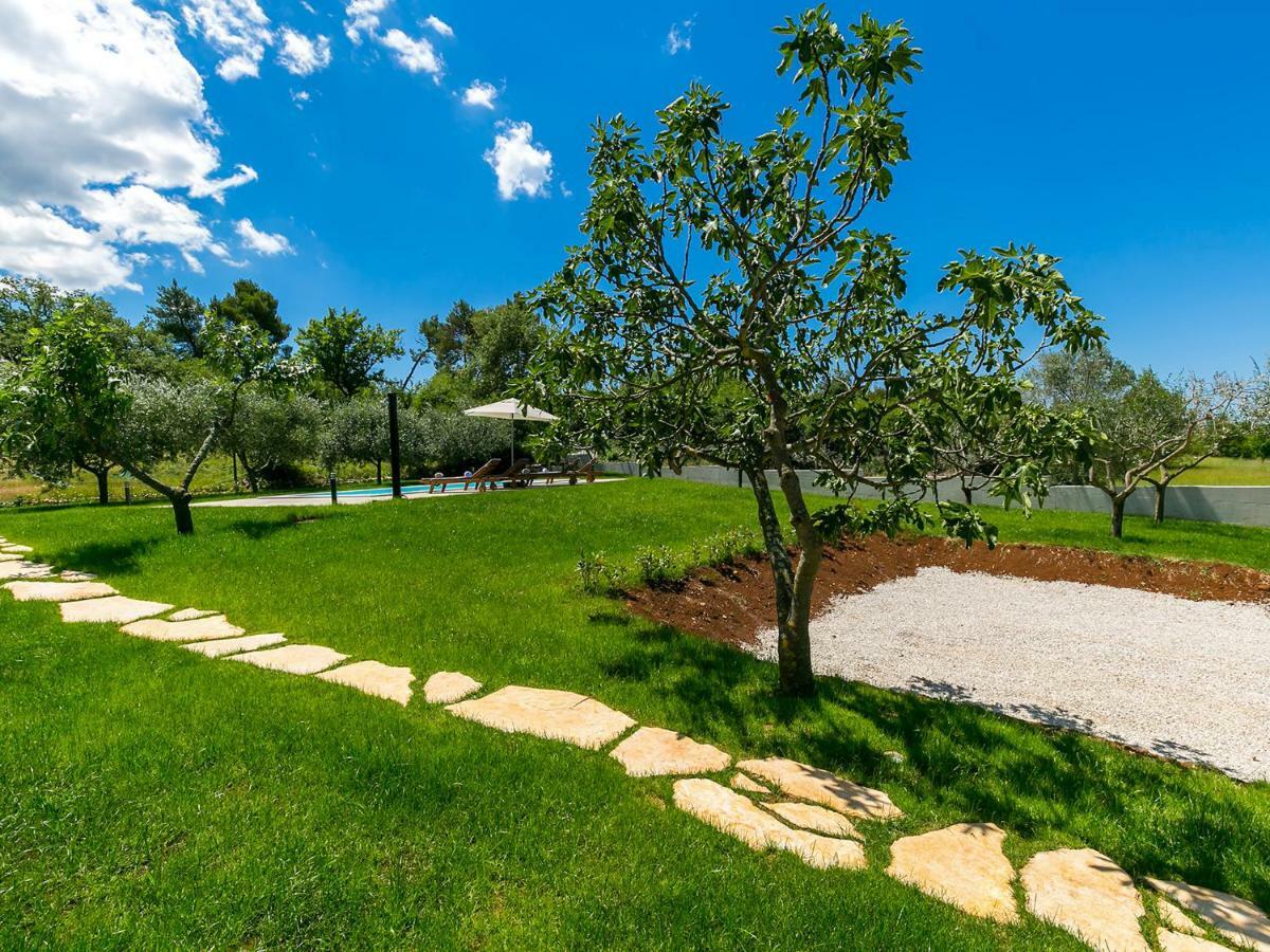 Pool Premium Apartment Vrsar Dış mekan fotoğraf