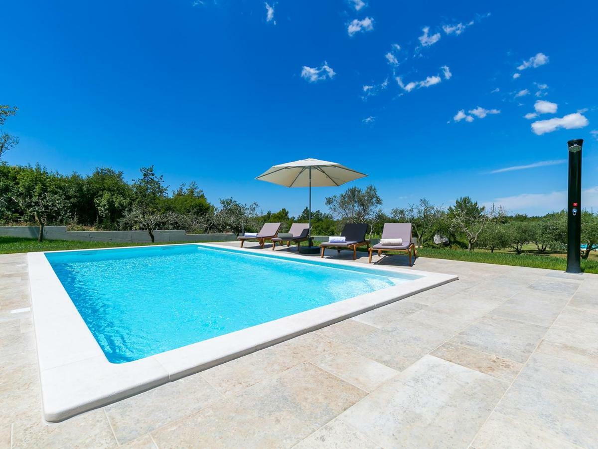 Pool Premium Apartment Vrsar Dış mekan fotoğraf
