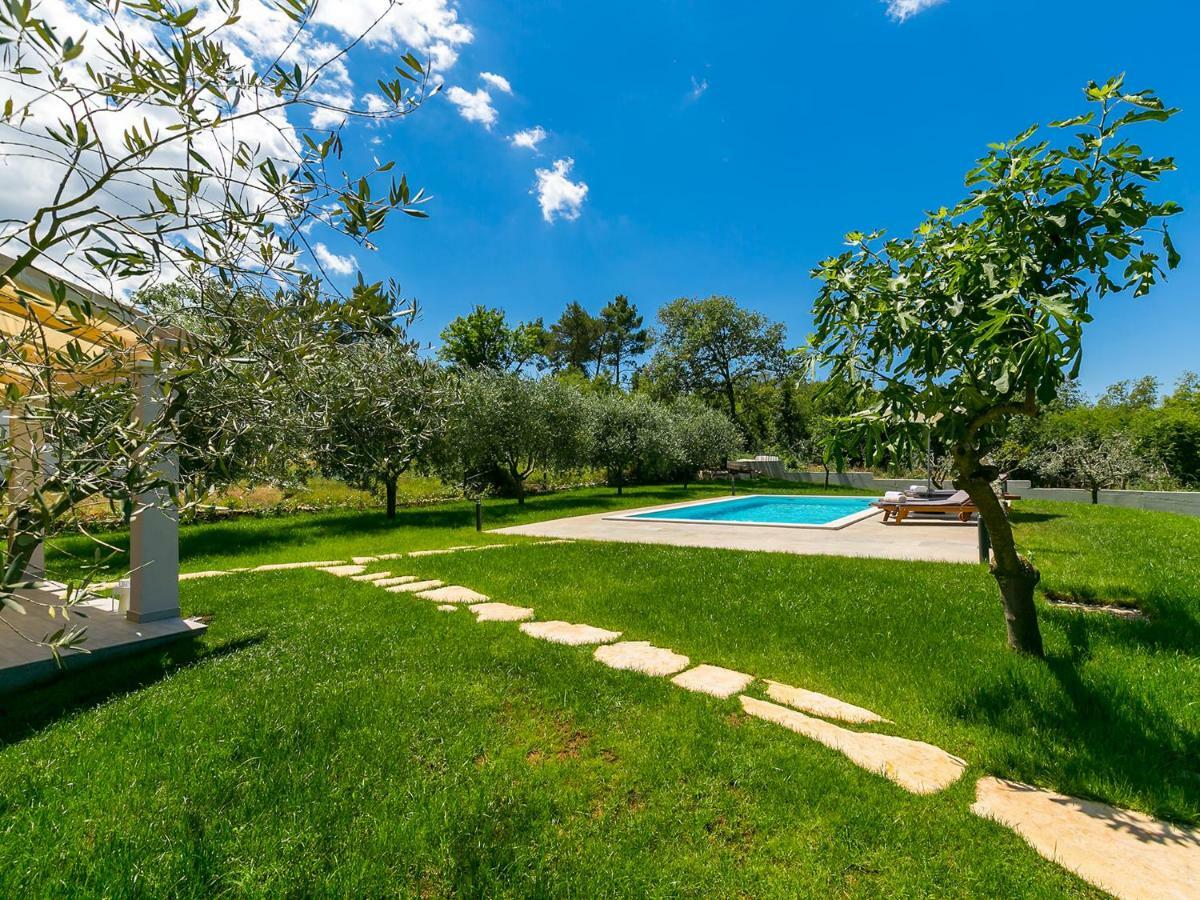 Pool Premium Apartment Vrsar Dış mekan fotoğraf