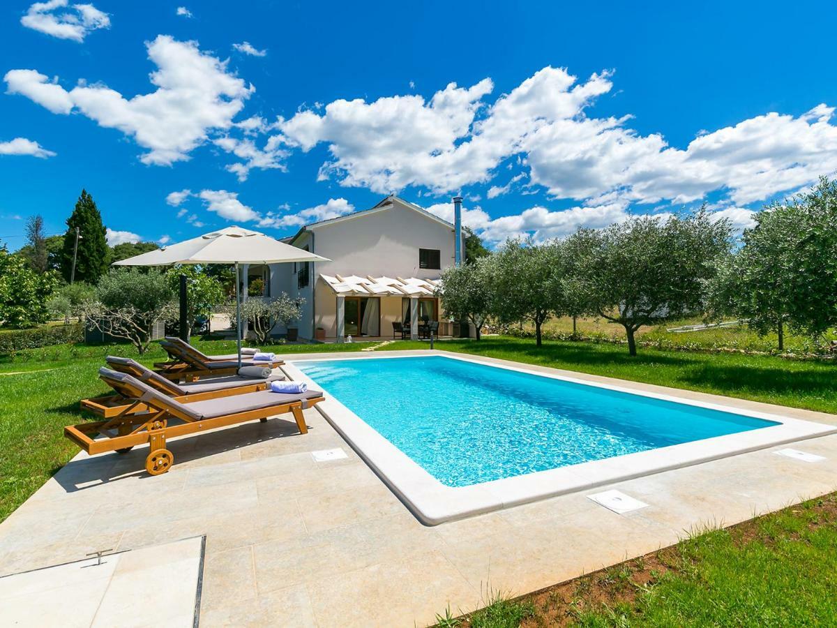 Pool Premium Apartment Vrsar Dış mekan fotoğraf
