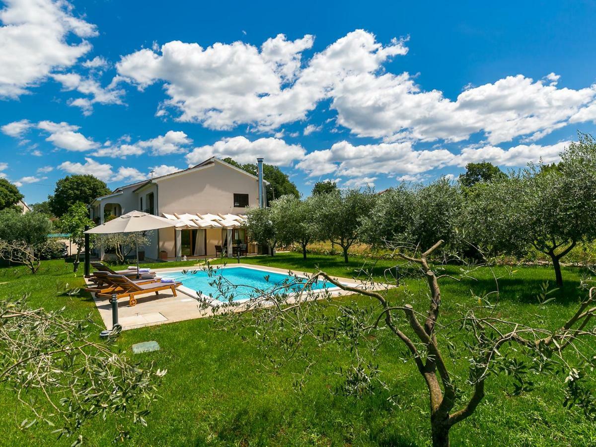 Pool Premium Apartment Vrsar Dış mekan fotoğraf